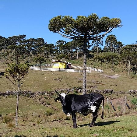 Casa E Cabana De Campo Fazenda Borba 우루비시 외부 사진