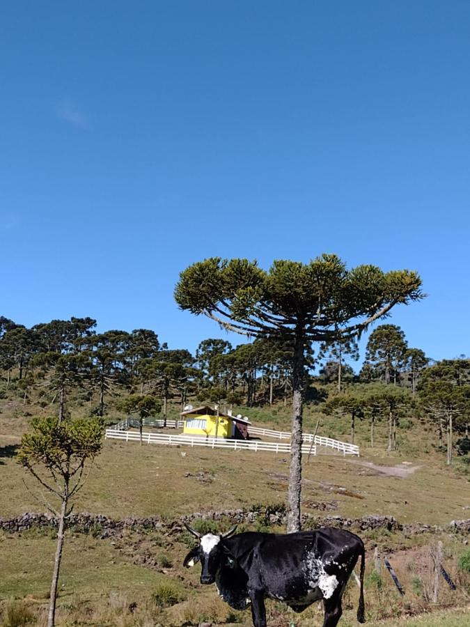 Casa E Cabana De Campo Fazenda Borba 우루비시 외부 사진