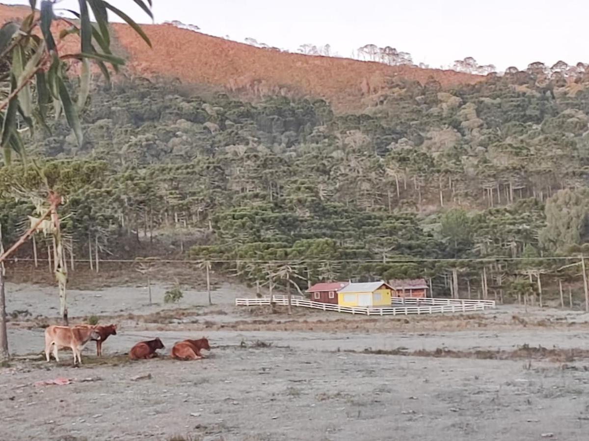 Casa E Cabana De Campo Fazenda Borba 우루비시 외부 사진