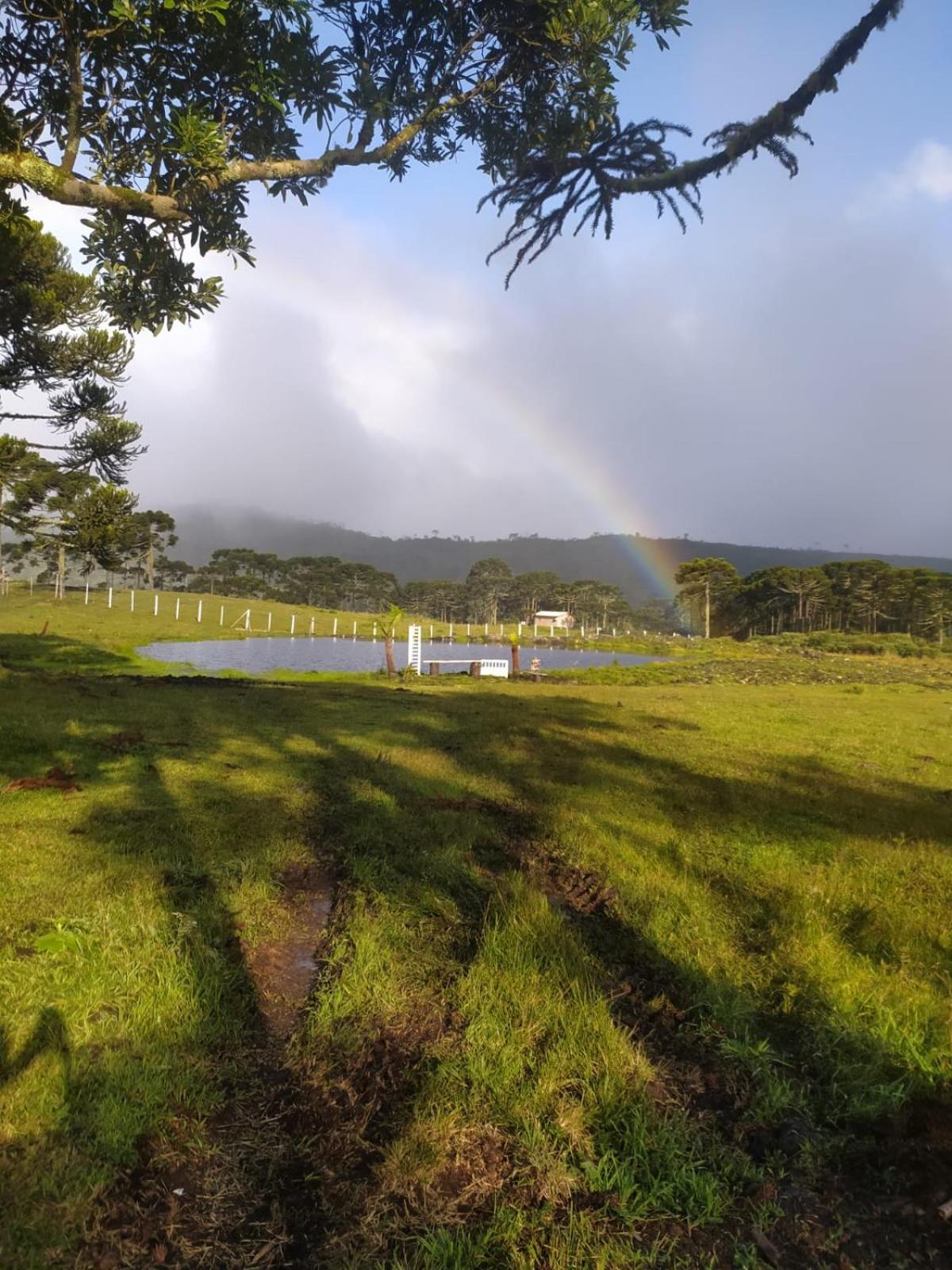 Casa E Cabana De Campo Fazenda Borba 우루비시 객실 사진