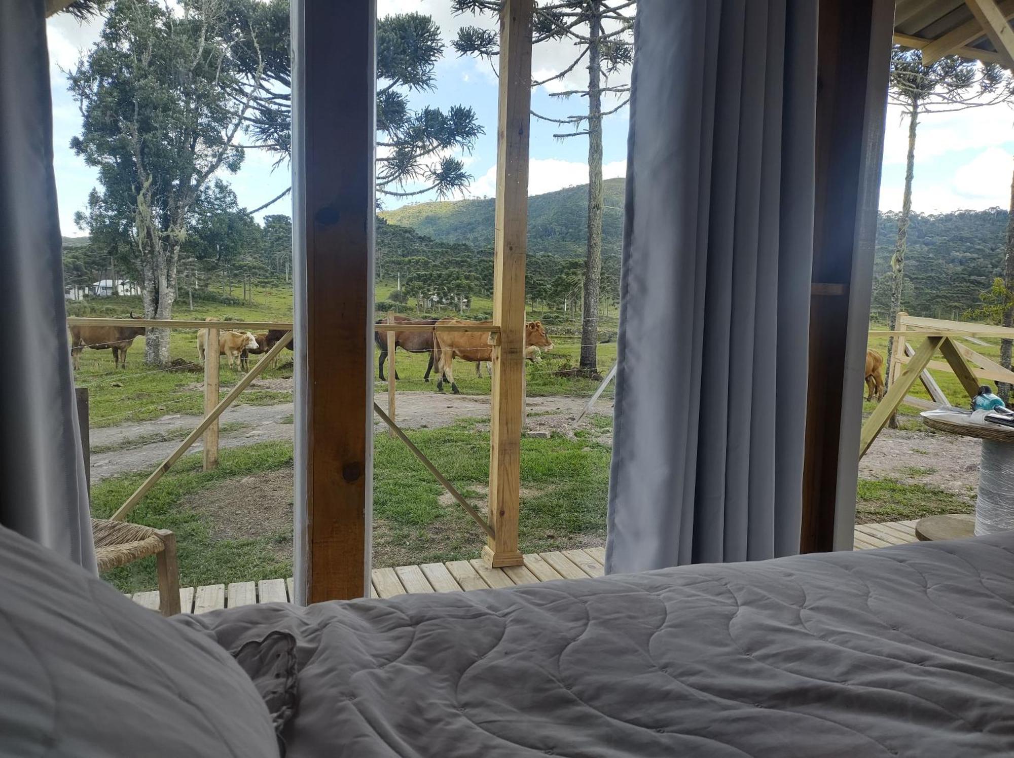 Casa E Cabana De Campo Fazenda Borba 우루비시 객실 사진