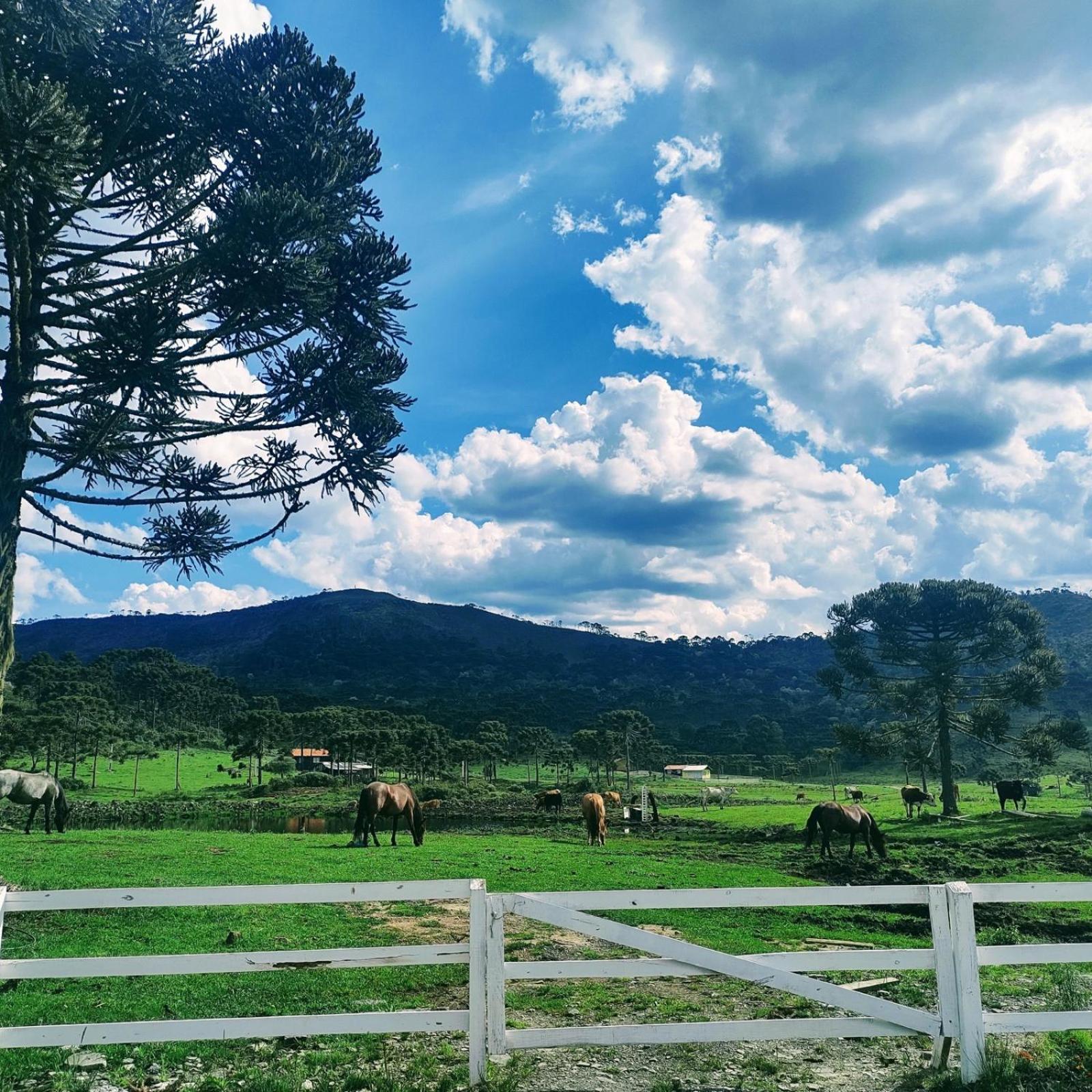 Casa E Cabana De Campo Fazenda Borba 우루비시 외부 사진