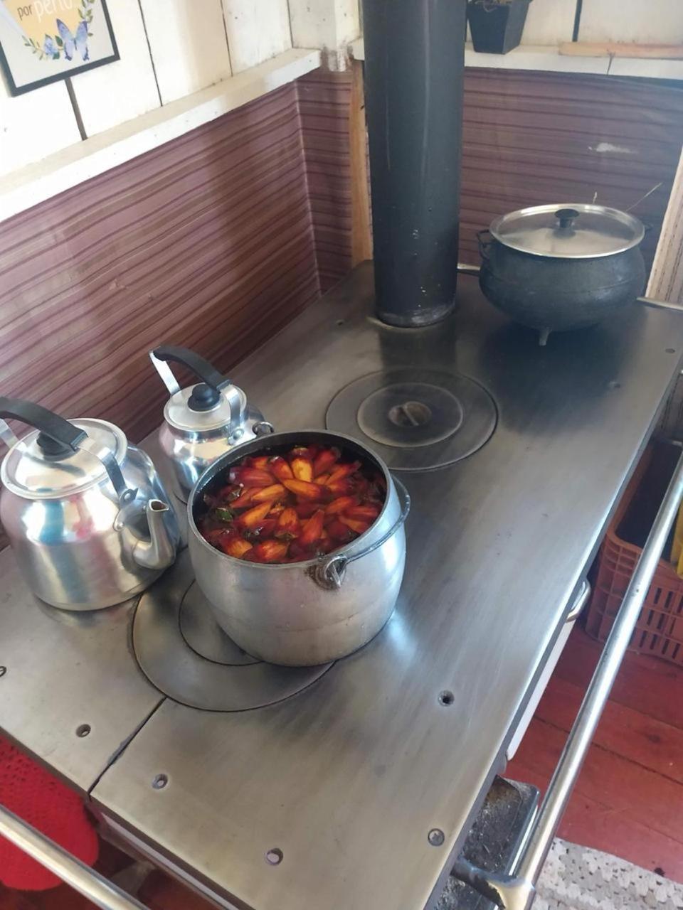 Casa E Cabana De Campo Fazenda Borba 우루비시 외부 사진